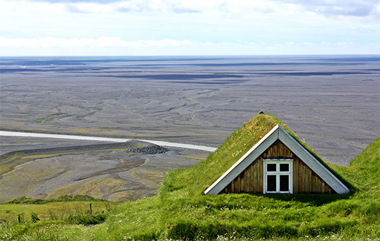 side-by-side_grass-roof.jpg